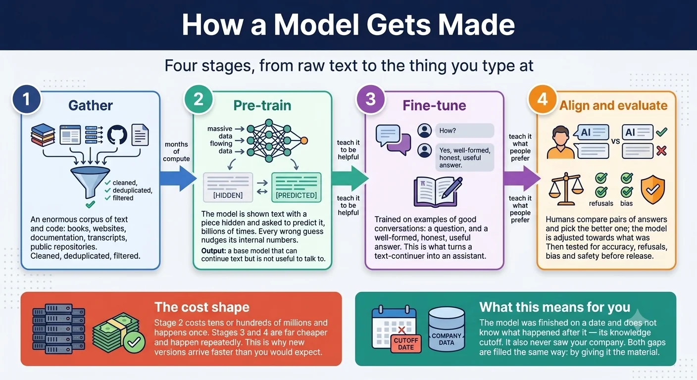 The four stages of building a language model, from an enormous cleaned corpus through pre-training, fine-tuning on good conversations, and alignment against human preference.